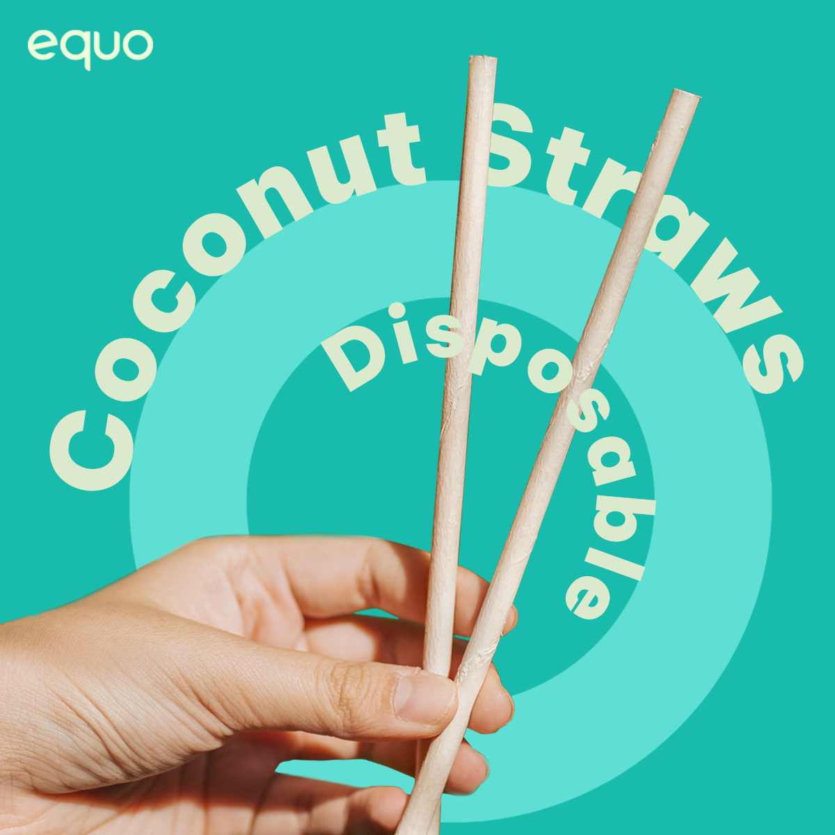 Coconut Drinking Straws by EQUO