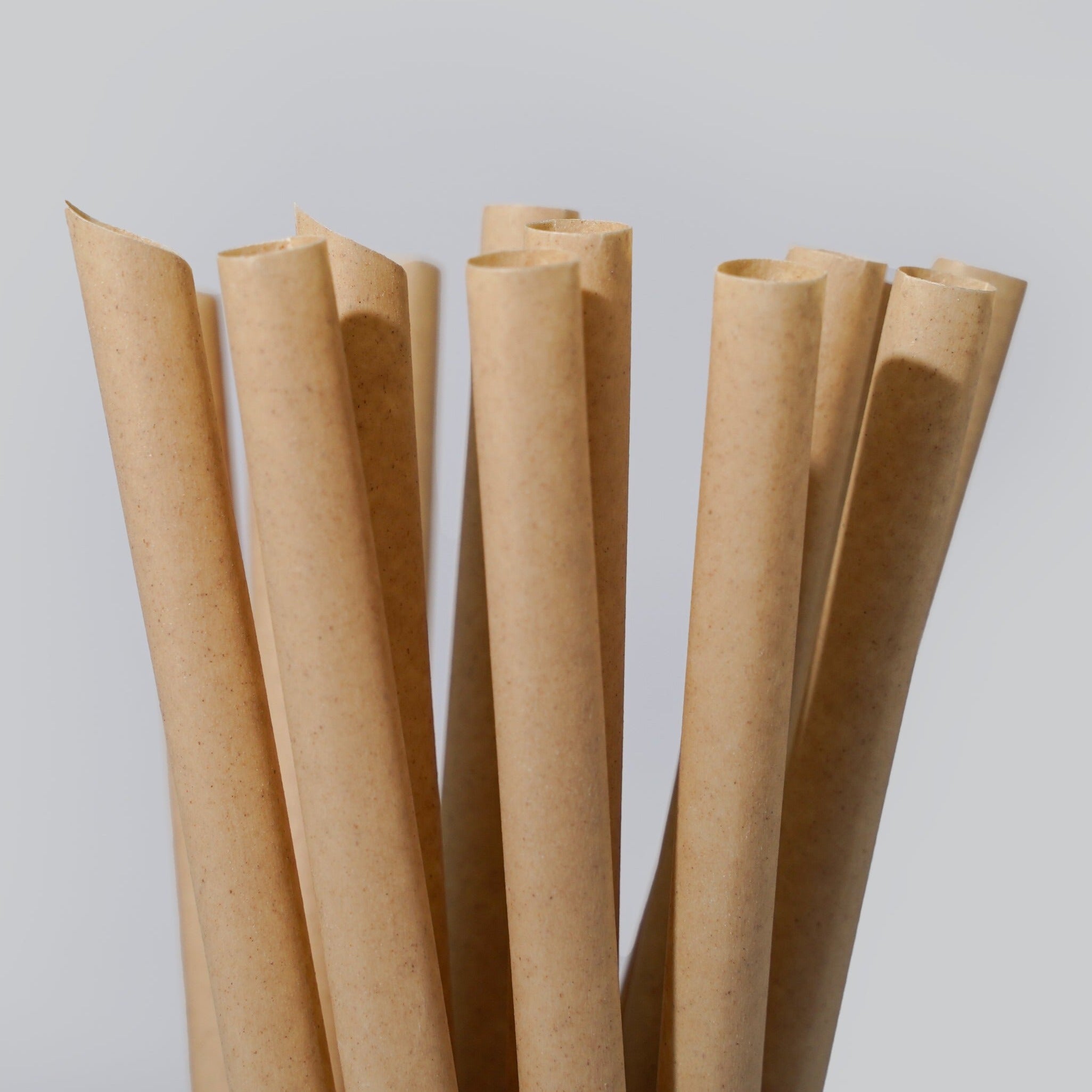 Sugarcane Drinking Straws (Wholesale/Bulk), BOBA/Bubble Tea Size - 1000 count by EQUO
